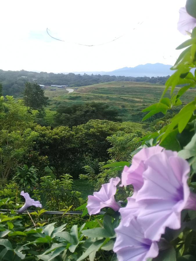 Rancha Azul Inn アラフエラ エクステリア 写真